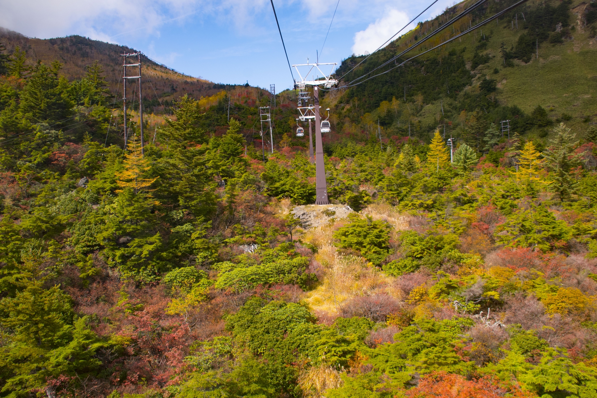 草津温泉スキー場　白根山　紅葉　スノーサーチ　SNOWSEARCH